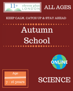Autumn school: SCIENCE