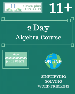2 Day 11+ Algebra Course (ONLINE)