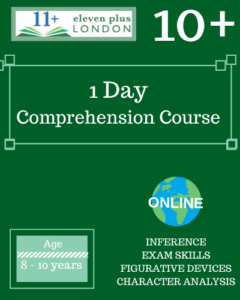 1 Day 10+ Comprehension Course (ONLINE)