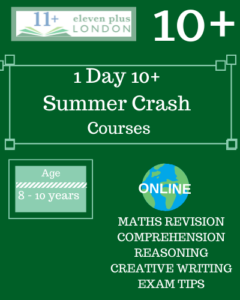 1 Day 10+ Summer Crash Courses (ONLINE)