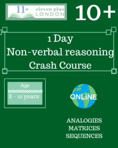 1 Day 10+ Non Verbal Reasoning Course (ONLINE)