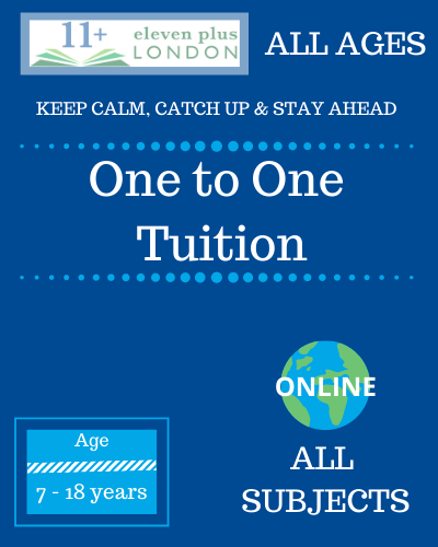 One to One Tuition: all subjects and for all ages