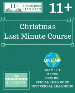 Christmas 11+ Last Minute Course (ONLINE)