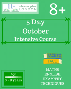 5 Day Intensive 8+ October Course (FACE TO FACE)