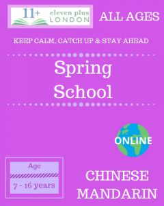 Spring School Chinese Mandarin