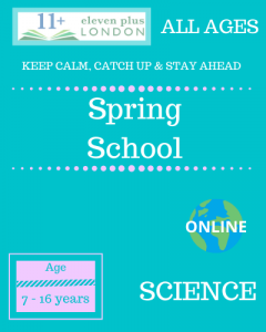 Spring school science