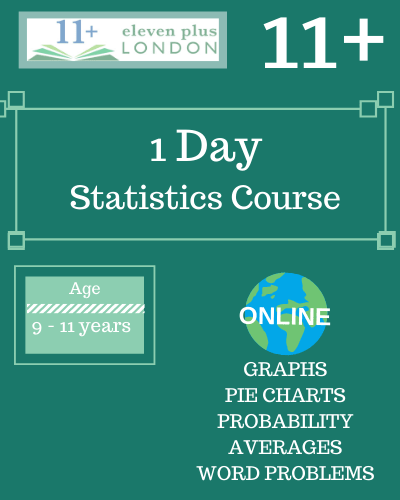 1 Day 11+ Statistics Course (ONLINE)