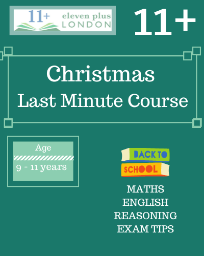 Christmas Last Minute Course