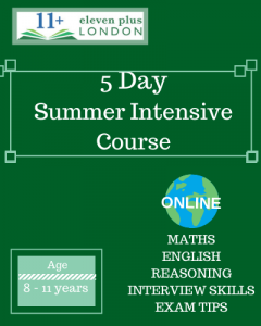 5 Day 10+ Summer Intensive Course (ONLINE)