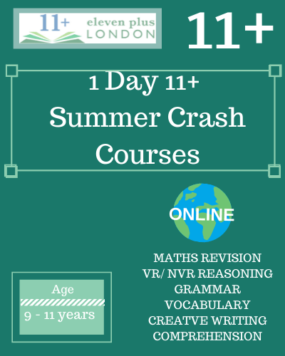 1 day 11+ Summer Crash Courses