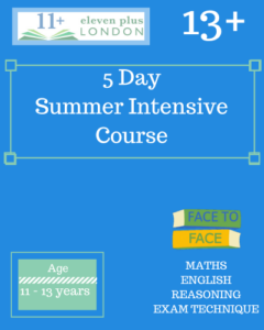 5 Day 13+ Summer Intensive Course (FACE TO FACE)